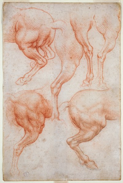 Studies of the Hind Limbs of the Horse by Leonardo da Vinci